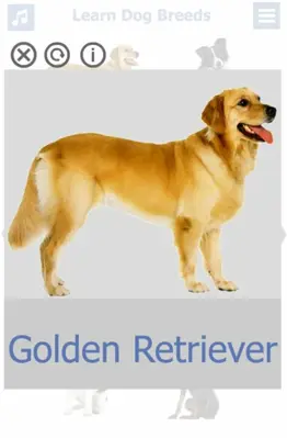 Dog Breeds 🐶 Golden Retriever | Rottweiler android App screenshot 15