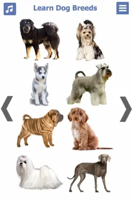 Dog Breeds 🐶 Golden Retriever | Rottweiler android App screenshot 16