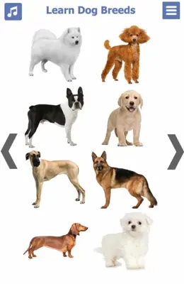 Dog Breeds 🐶 Golden Retriever | Rottweiler android App screenshot 17