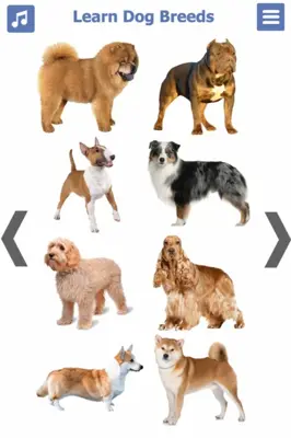 Dog Breeds 🐶 Golden Retriever | Rottweiler android App screenshot 18