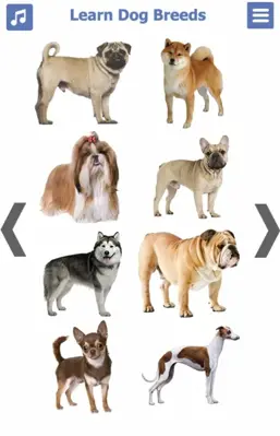 Dog Breeds 🐶 Golden Retriever | Rottweiler android App screenshot 19