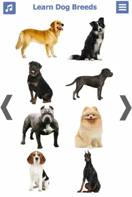 Dog Breeds 🐶 Golden Retriever | Rottweiler android App screenshot 20